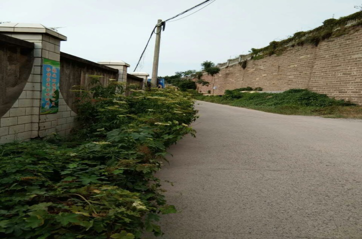除草刷墻灑汗水，苗圃外貌換新顏