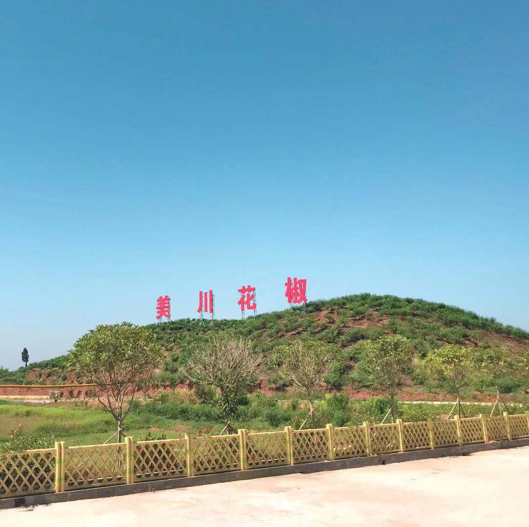 村企共創(chuàng)，建美麗宜居鄉(xiāng)村