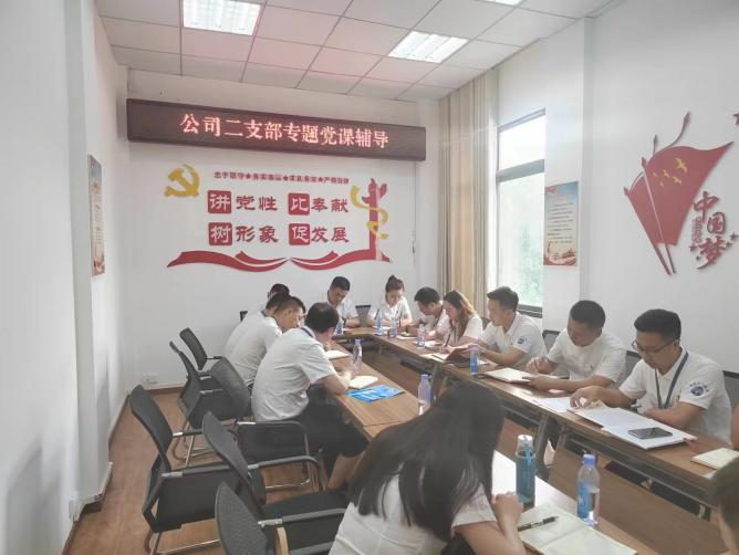 公司二支部開展“齊力共進(jìn)、強(qiáng)企有我” 主題黨日活動