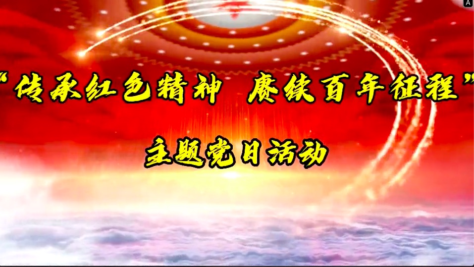 傳承紅色精神，賡續(xù)百年征程-共產(chǎn)黨員服務(wù)大隊(duì)主題黨日活動(dòng)