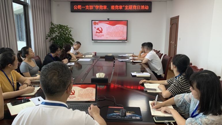 清源水務(wù)公司黨委組織開展“學(xué)黨章、遵黨章”系列主題黨日活動(dòng)